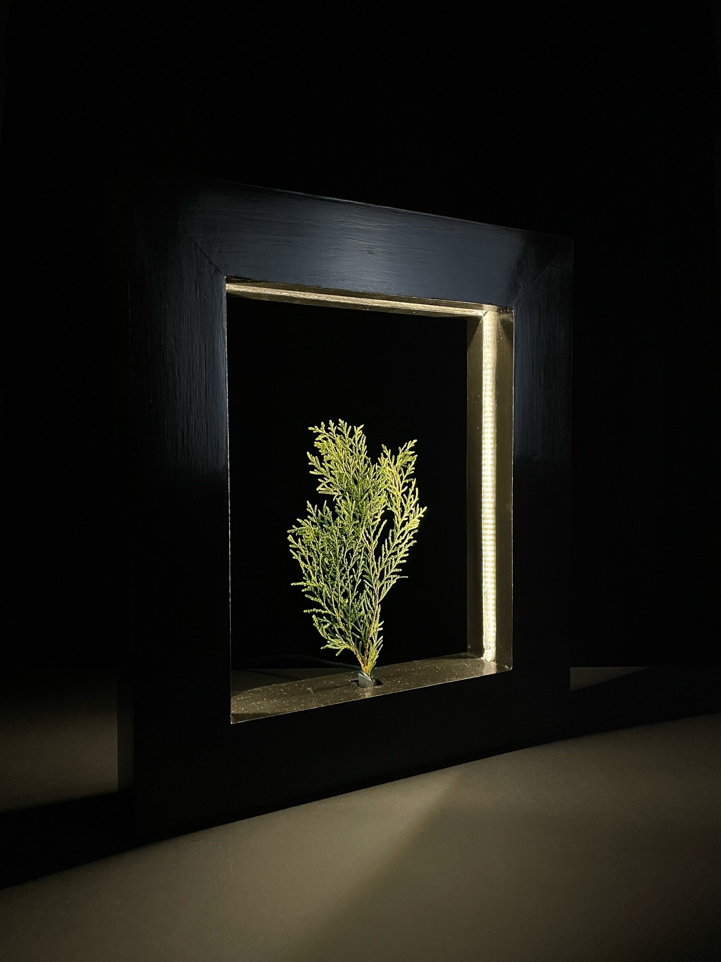The Soul Dancing Frame